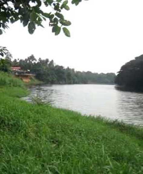 Muthala Kadavu